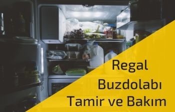 İzmir Regal Buzdolabı Servisi